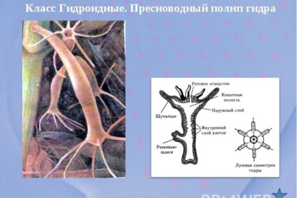 Кракен тор ссылка онион