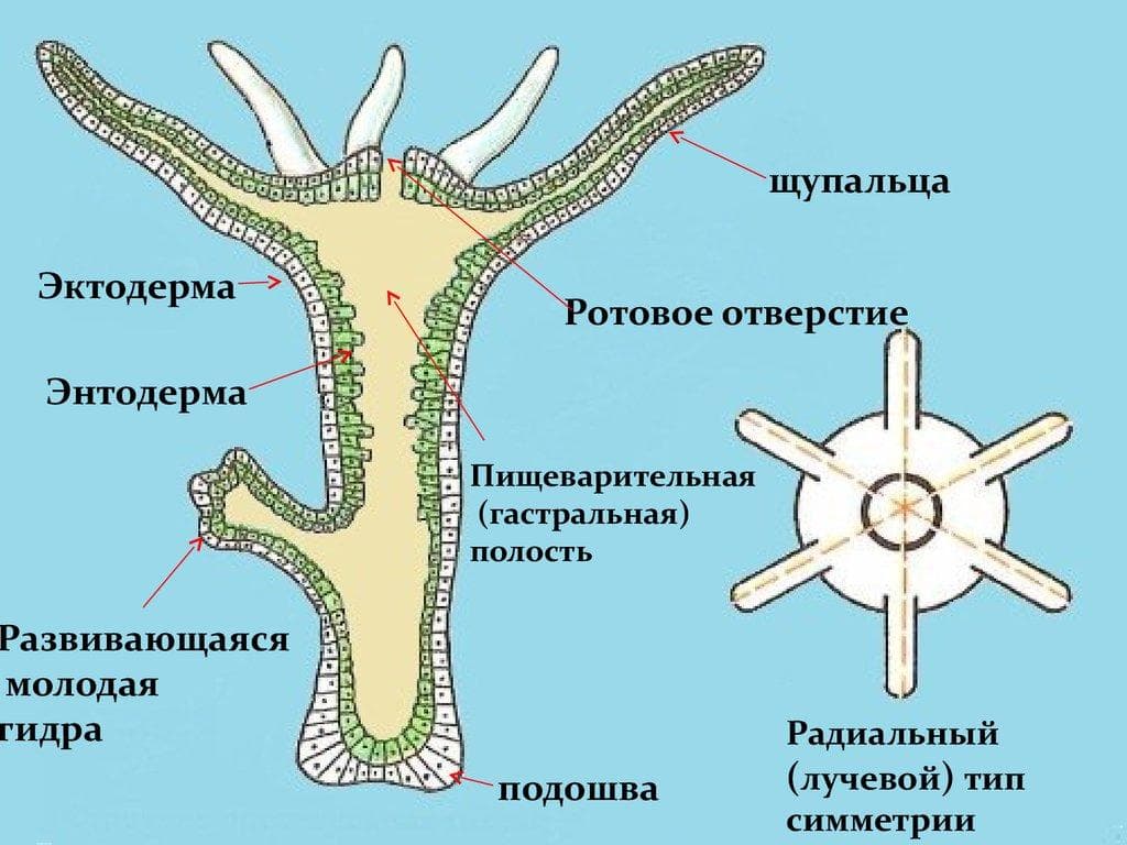 Ошибка на сервере кракен